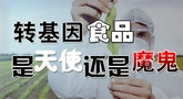 D(zhun)ʳƷħ